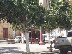 2018 05 VOYAGE A ORAN EN MAI 2018 (140)